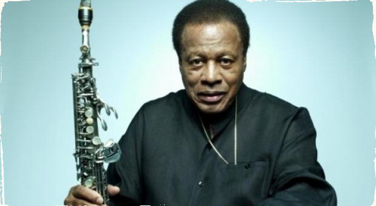 Ďalšie ocenenie medzi jazzmanmi: Saxofonista Wayne Shorter získal Guggenheim Fellowship